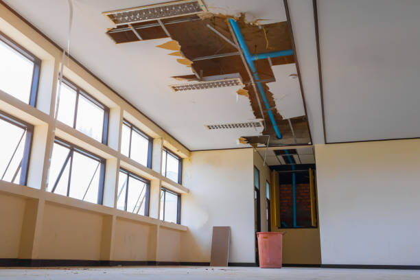 Best Water damage cleanup near me  in Ringwood, NJ