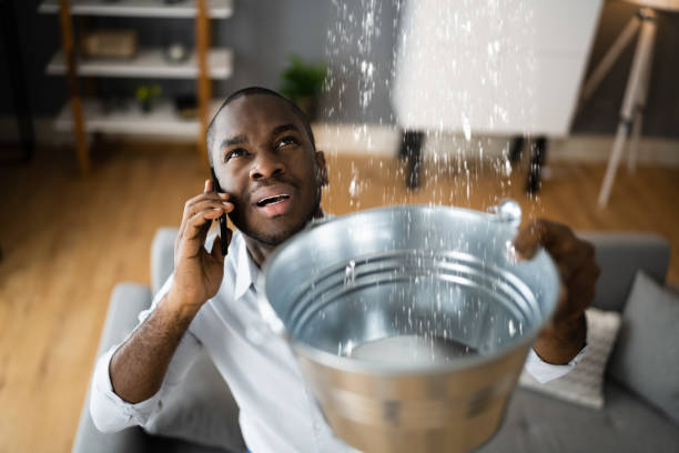 Best Water damage restoration services  in Ringwood, NJ