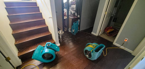 Best Water damage contractors near me  in Ringwood, NJ