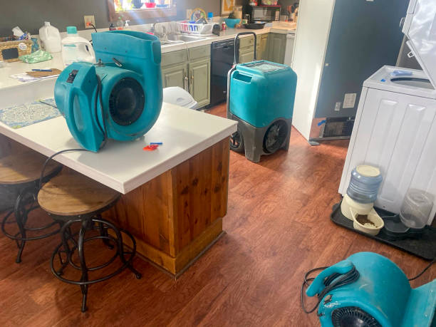 Trusted Ringwood, NJ Water damage restoration Experts