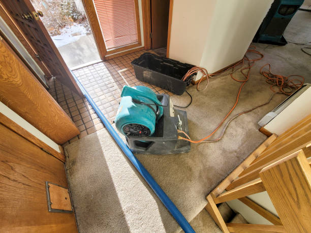 Best Residential water damage restoration  in Ringwood, NJ