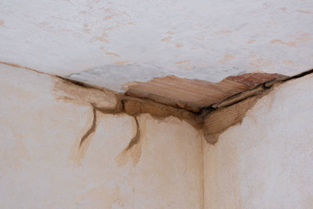 Best Local water damage restoration  in Ringwood, NJ