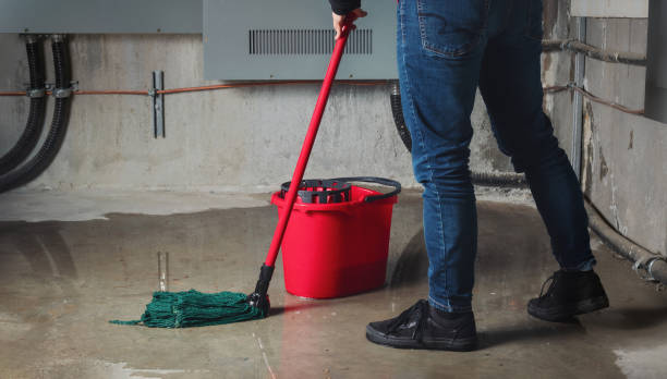 Best Professional water damage repair  in Ringwood, NJ