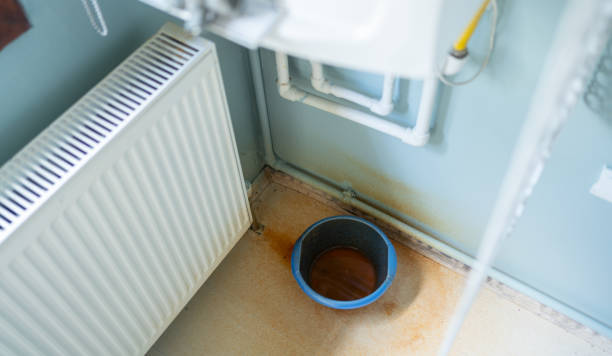 Best Water damage restoration near me  in Ringwood, NJ
