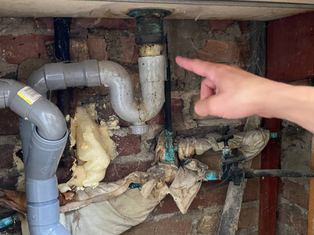Best Water damage restoration near me  in Ringwood, NJ