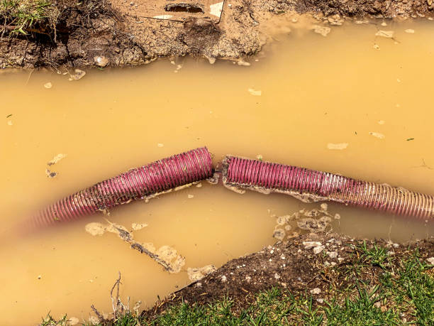 Reliable Ringwood, NJ Water damage restoration Solutions