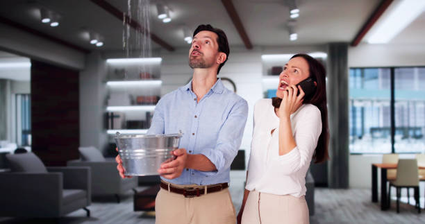 Water damage restoration mold remediation in Ringwood, NJ